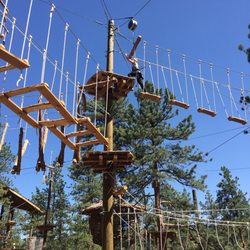 Treehouse Adventure Park
