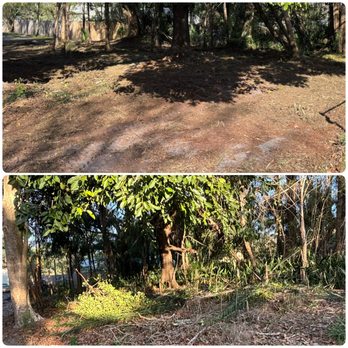 Safe Guard Environmental - Excavation Services Near Me