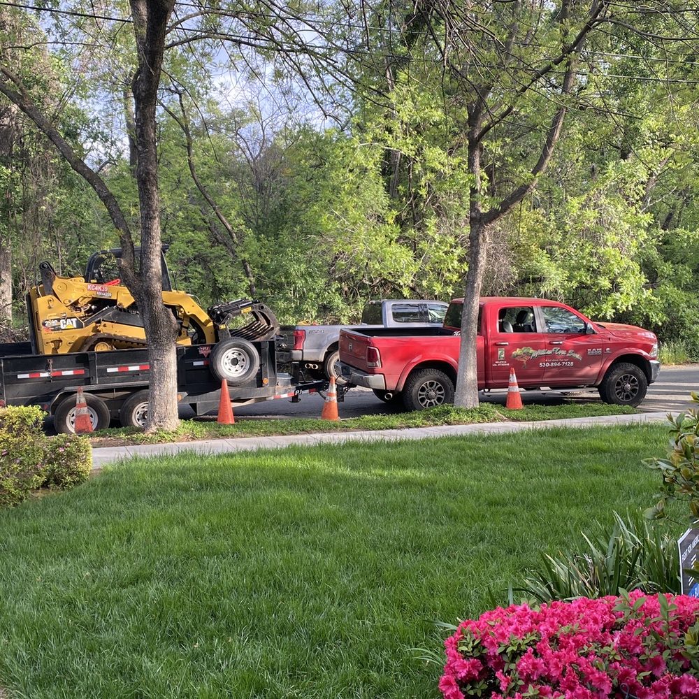 McMillan Tree Services - McMillan Tree Service. They have a tractor, chipper, a trailer, and the Spiderlift. - Tree Services Near Me - Chico, California McMillan Tree Services - McMillan Tree Service. They have a tractor, chipper, a trailer, and the Spiderlift. - Tree Services Near Me - Chico, California