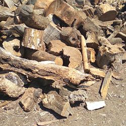 Salvador firewood
