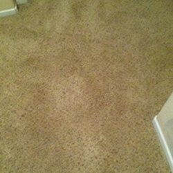 Pink S Carpet Cleaning 355 Photos 43 Reviews Carpet Cleaning 472 W 4050th N Lehi Ut Phone Number Yelp