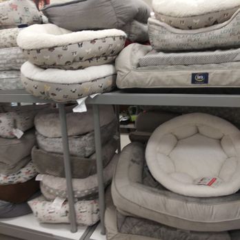 TJ Maxx - Who knew Serta made dog beds? - Department Stores Near Me - Denton, Texas