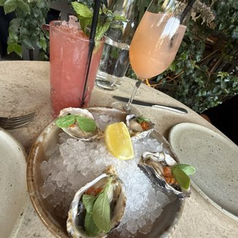 Manuela - Kumiai Oysters, Nantes Carrot Mignonette, Garden Chervil - New American Near Me - Los Angeles, California Manuela - Kumiai Oysters, Nantes Carrot Mignonette, Garden Chervil - New American Near Me - Los Angeles, California