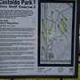 Photo of Castaldo Park