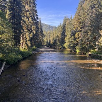 Brown Bear Lodge - Such a peaceful, beautiful day looking for wildlife. - Walking Tours Near Me - Hoonah, Alaska Brown Bear Lodge - Such a peaceful, beautiful day looking for wildlife. - Walking Tours Near Me - Hoonah, Alaska