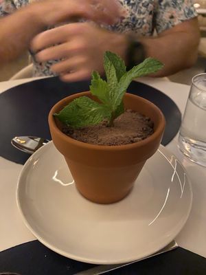 Stella's Cucina by null