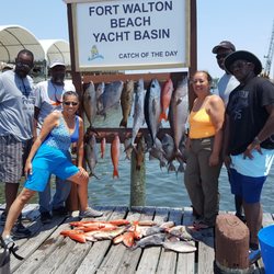 Blue Water Escape Charters - Spring 2018 fishing for Amberjack, Tuna, Mingo, Scamp grouper and more.
