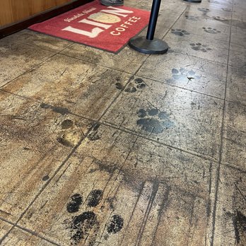 Lion Cafe and General Store - Coffee & Tea Near Me - Honolulu, Hawaii Lion Cafe and General Store - Coffee & Tea Near Me - Honolulu, Hawaii