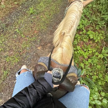Chunky Gal Stables - Horseback Riding Near Me - Hayesville, North Carolina