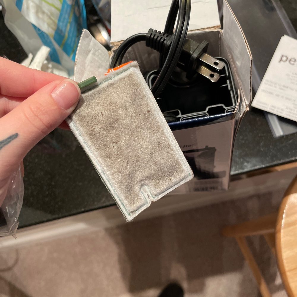 Missing lid and dirty filter Missing lid and dirty filter