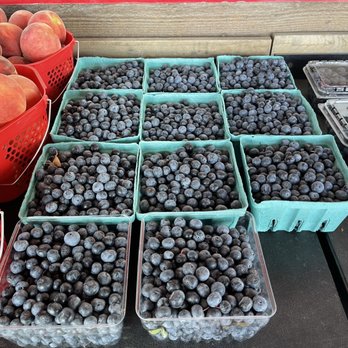 Peaches and Cream - Fresh blueberries - Fruits & Veggies Near Me - Wadesboro, North Carolina Peaches and Cream - Fresh blueberries - Fruits & Veggies Near Me - Wadesboro, North Carolina