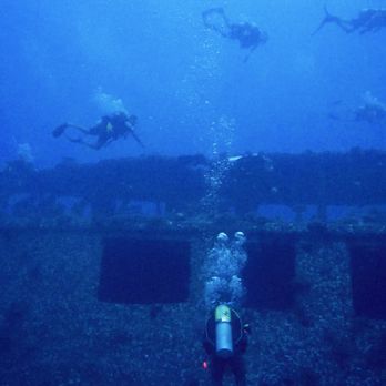 Dive Oahu - Snorkeling Near Me - Honolulu, Hawaii