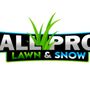 Photo of All Pro Lawn & Snow