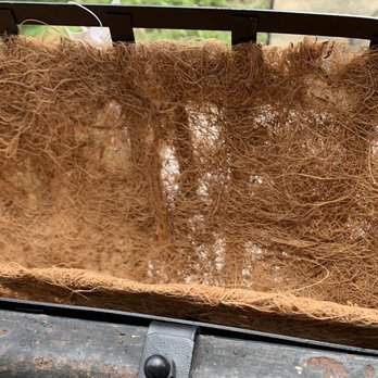 The Home Depot - This is the quality of coco coir in a $20 basket. - Nurseries & Gardening Near Me - Jacksonville, Florida The Home Depot - This is the quality of coco coir in a $20 basket. - Nurseries & Gardening Near Me - Jacksonville, Florida