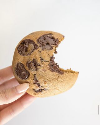 CurlyTop Baker by null