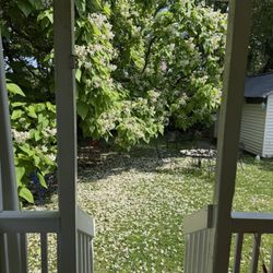 French Rendez-Vous - Beautiful outdoor space to sit as well