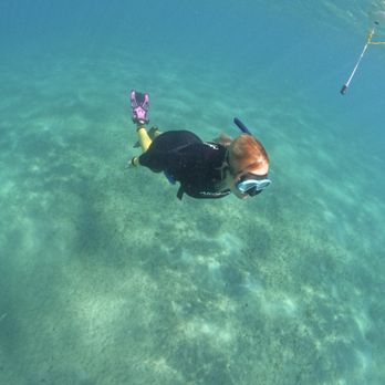 Live Free Diving - Free Diving Near Me Live Free Diving - Free Diving Near Me