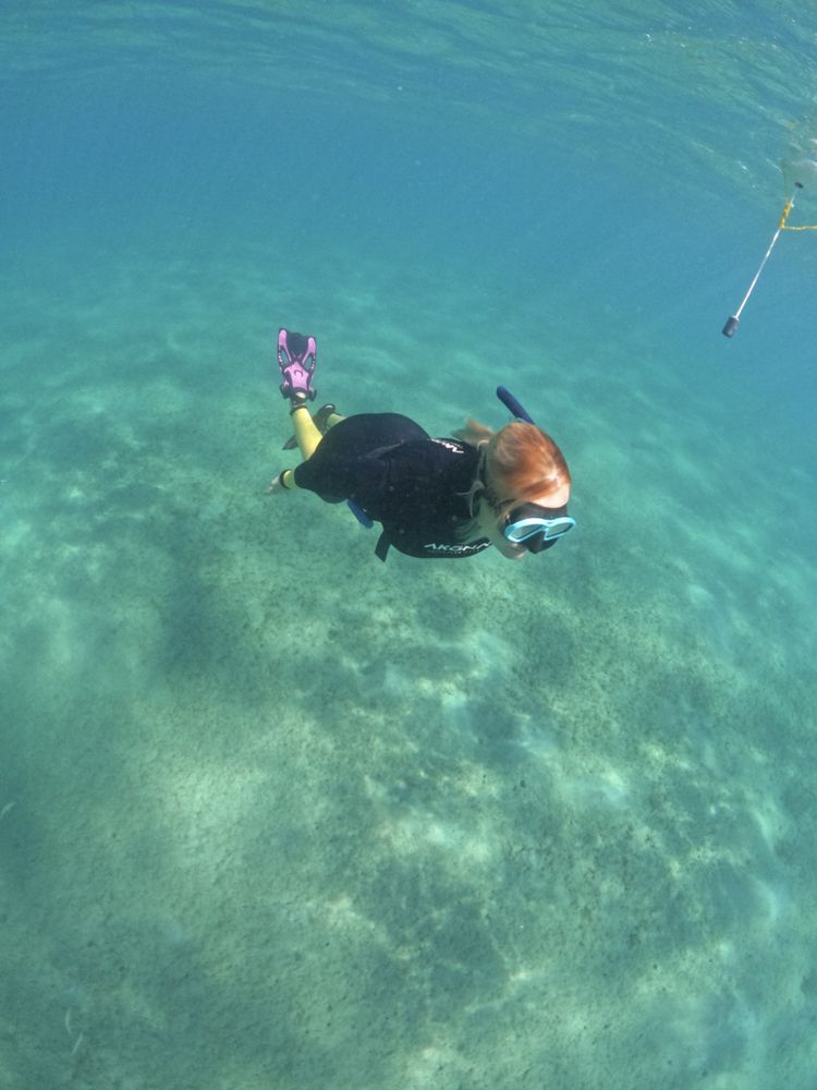 Live Free Diving Logo