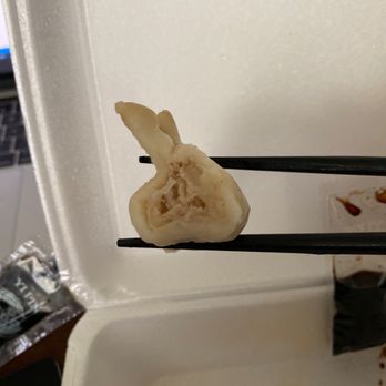 China City - Dumpling inside - Chinese Near Me - Kent, Ohio China City - Dumpling inside - Chinese Near Me - Kent, Ohio