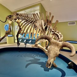 Historiska Museet