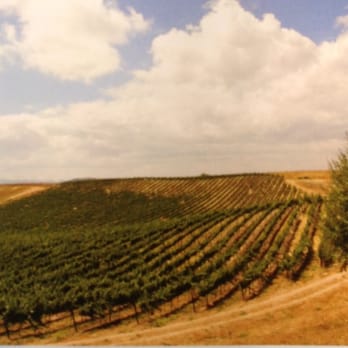 Winer's Paradise Tours - The rolling hills of Temecula vineyards. - Tours Near Me Winer's Paradise Tours - The rolling hills of Temecula vineyards. - Tours Near Me