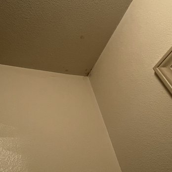 Howard Johnson by Wyndham Salinas - More black mold in the bathroom - Hotels Near Me - Salinas, California Howard Johnson by Wyndham Salinas - More black mold in the bathroom - Hotels Near Me - Salinas, California