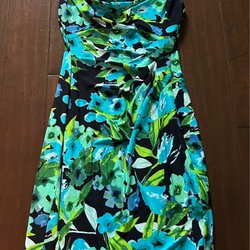 Goodwill Retail Store & Donation Center - Promenade - Ralph Lauren Dress~