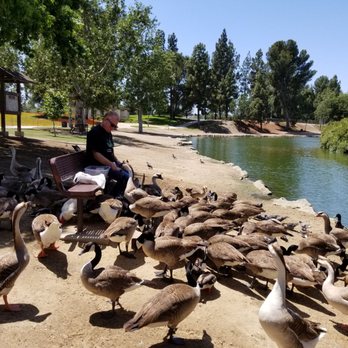 RANCHO SIMI COMMUNITY PARK - Updated January 2026 - 73 Photos & 24 Real