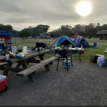 North Beach Campground - Campsites are pretty big. - Campgrounds Near Me - Pismo Beach Ca, California
