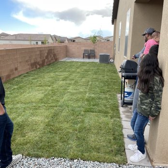 Martinez Design & Scape - After lawn installation (black beauty fescue) - Tree Services Near Me