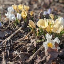 Rust Park - "No winter lasts forever; no spring skips its turn." Hal Borland, American author.