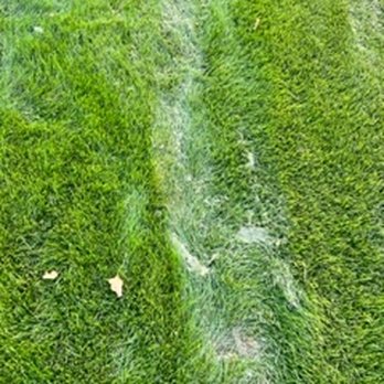 BrightView - Landscape Architects or Designers Near Me - Gardena, California