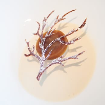 Geranium - Naked tree, dark beer, prune & smoked beechwood cream - Scandinavian Near Me - Copenhagen, 84