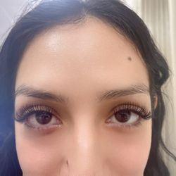 Splendid Lash