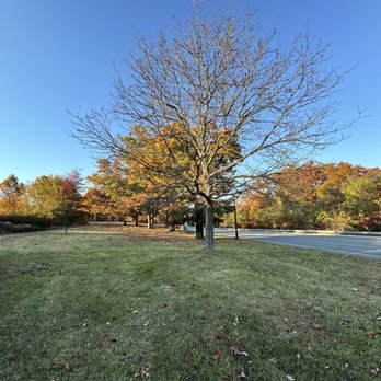 Dewitt Loop Trail - Hiking Near Me - Fort Belvoir, Virginia
