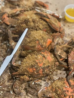 Mr. Bill's Terrace Inn Crab House by null