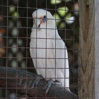 Elmvale Jungle Zoo - Zoos Near Me - Elmvale, Ontario