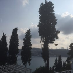 Mihrabat Korusu