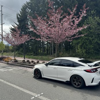 My Car Autosport - Auto Repair Near Me - San Jose, California My Car Autosport - Auto Repair Near Me - San Jose, California