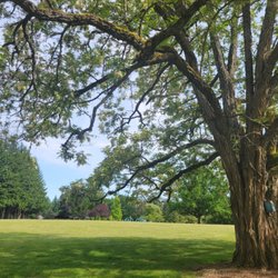 Frank Raab Park - The central wide open park space, often used by off-leash dogs