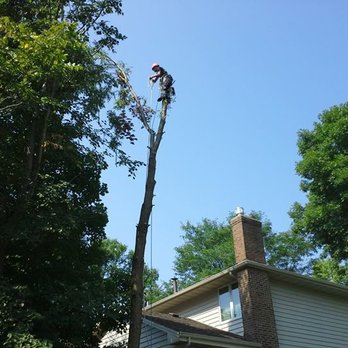 Golden Oak Tree Service Tree Services 3130 145th St W Rosemount Mn Phone Number
