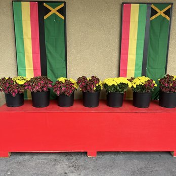 Juice Unwind - Front entrance - Caribbean Near Me - Chico, California