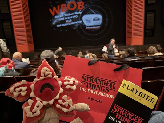 Marquis Theatre by null