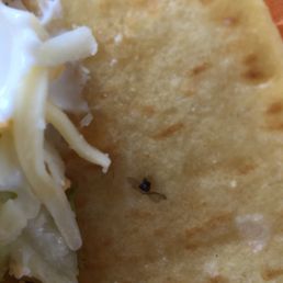 So disappointed sick to my stomach will never eat from Taco Bell ever again in my life !!