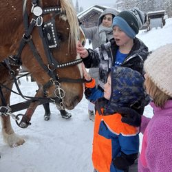 Bearcat's Cabin - Petting pancho