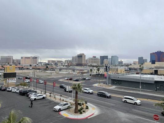 Green Leaf Lotus by null