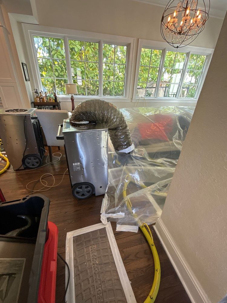 Veritas Restoration - mold inspector in Seminole, FL