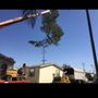 Photo of Moon Tree Service Professionals