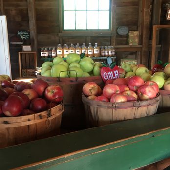 Ya Ya Farm and Orchard - Apples from the Wester Slope - Farmers Market Near Me - Longmont, Colorado Ya Ya Farm and Orchard - Apples from the Wester Slope - Farmers Market Near Me - Longmont, Colorado