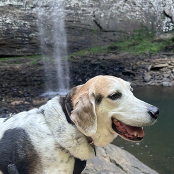 Ozone Falls - Hiking Near Me - Rockwood, Tennessee Ozone Falls - Hiking Near Me - Rockwood, Tennessee